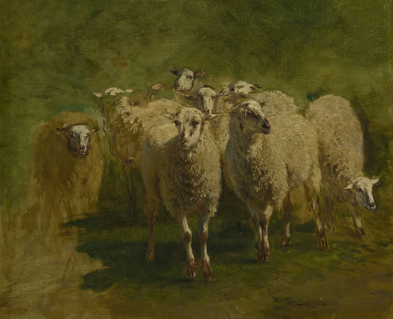 Pecore - The Mesdag Collection, l'Aia 1